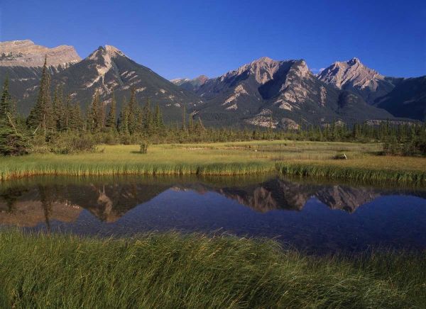 Canada, Alberta, Jasper Lake in Jasper NP